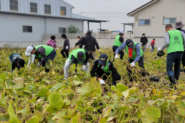 青少年奉仕活動 かぼちゃ育成事業